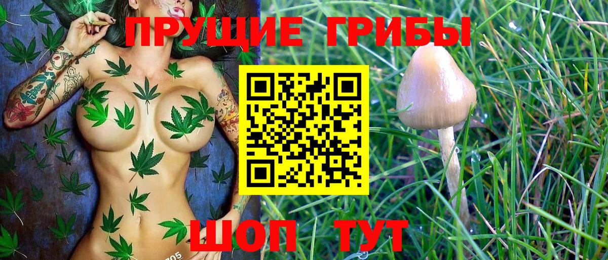 Галлюциногенные грибы Psilocybine cubensis  Вход с VPN  как найти закладки  Салехард 