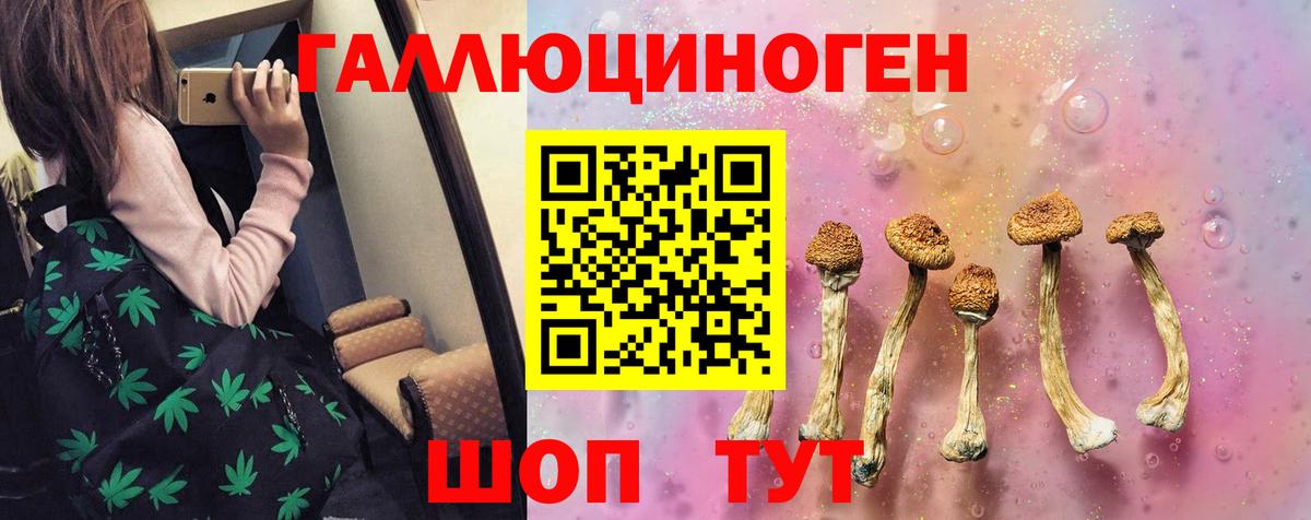 Галлюциногенные грибы Magic Shrooms Салехард